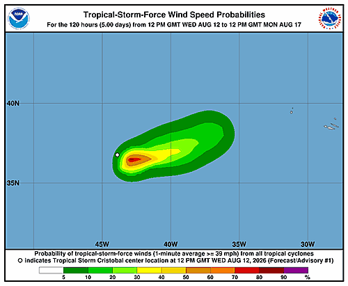 tropical-storm-cristobal-graphics