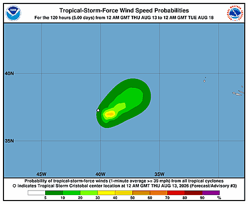 tropical-storm-cristobal-graphics